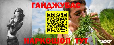 гидра Тверь