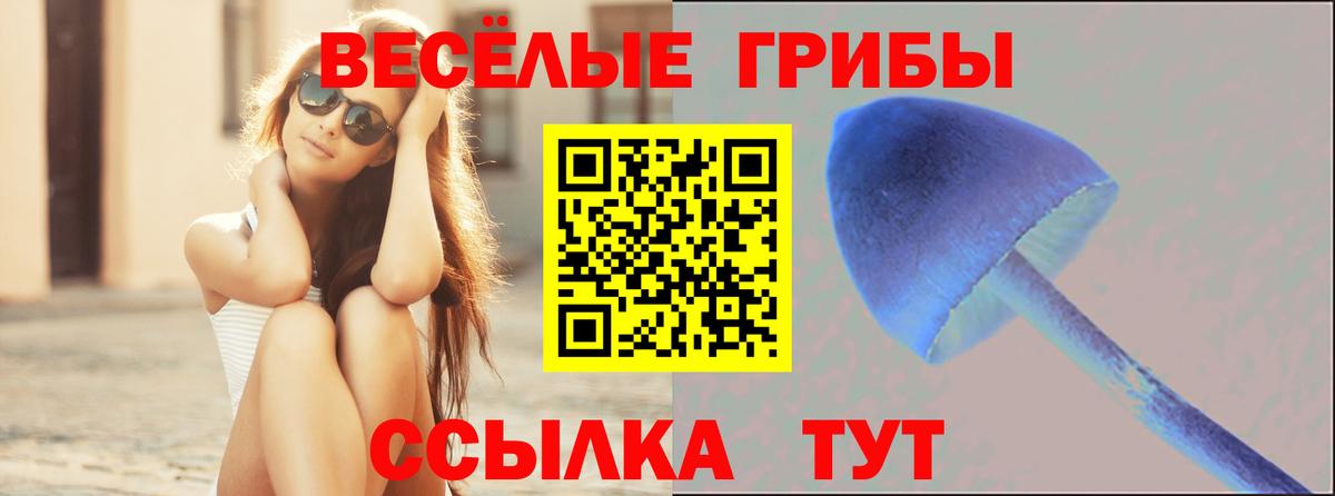 Псилоцибиновые грибы Psilocybe  Вход с VPN  Псилоцибиновые грибы MAGIC MUSHROOMS  Новоалександровск 